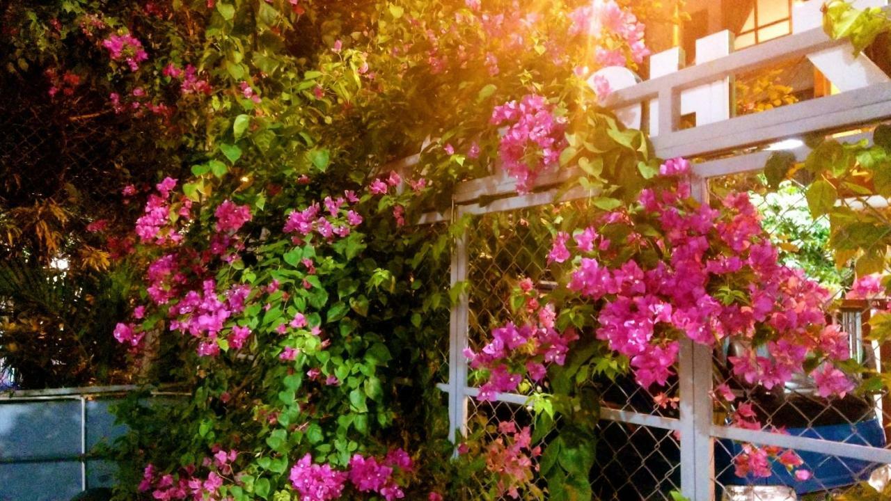 Lapaz Homestay Дананг Экстерьер фото